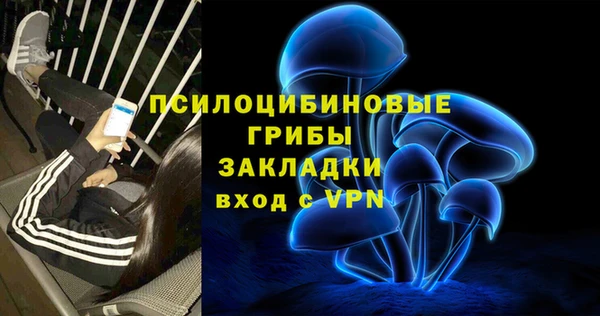 гидра Саяногорск