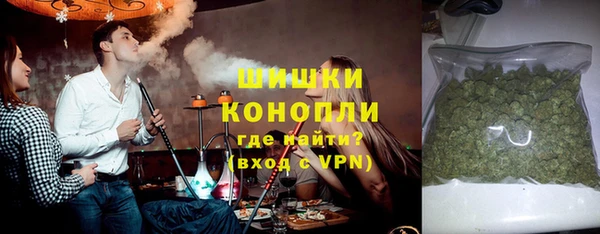 гидра Саяногорск
