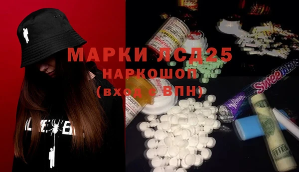 гидра Саяногорск