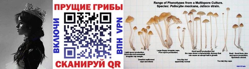 Галлюциногенные грибы Magic Shrooms  хочу наркоту  Фатеж 